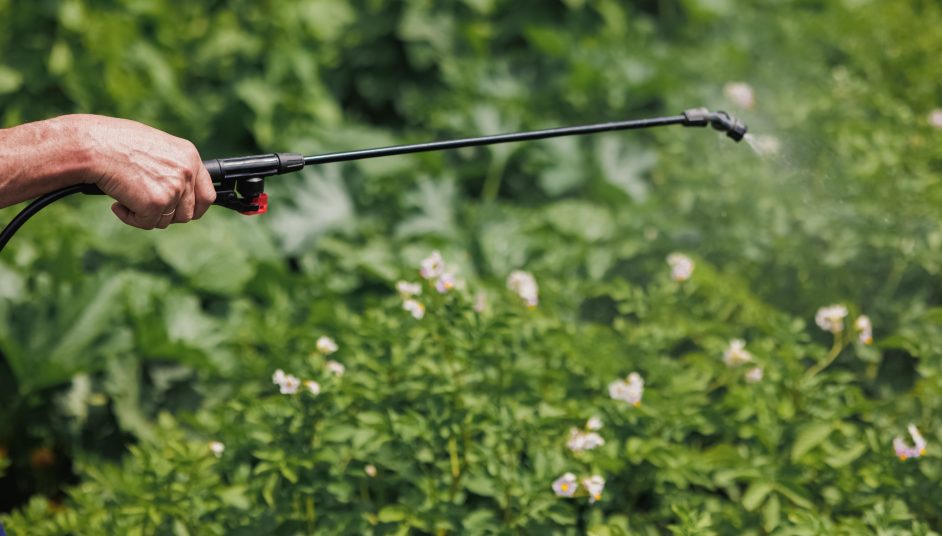 mosquito sprayer