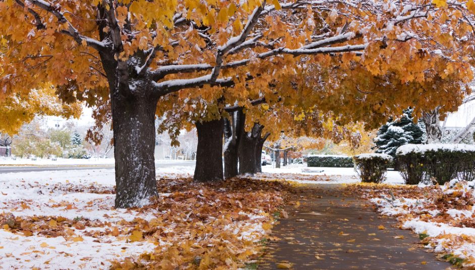 a fall street